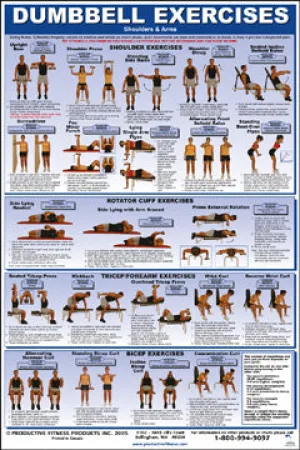 Dumbbell Exercises Poster - Shoulder and Arms