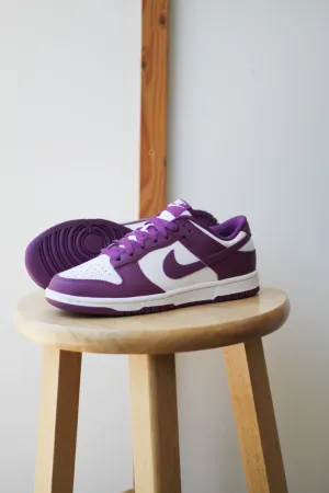 DUNK LOW RETRO "VIOTECH"