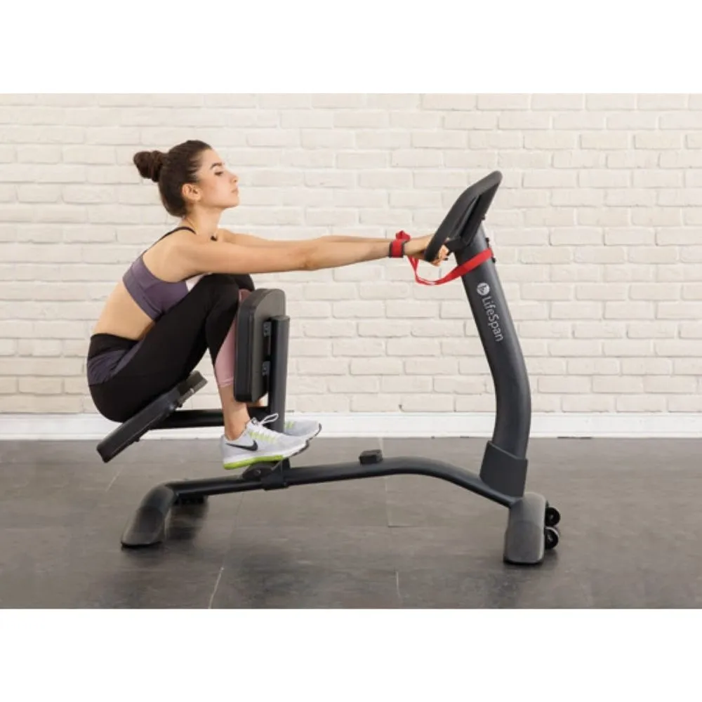 LifeSpan Fitness SP1000 Stretch Partner Pro