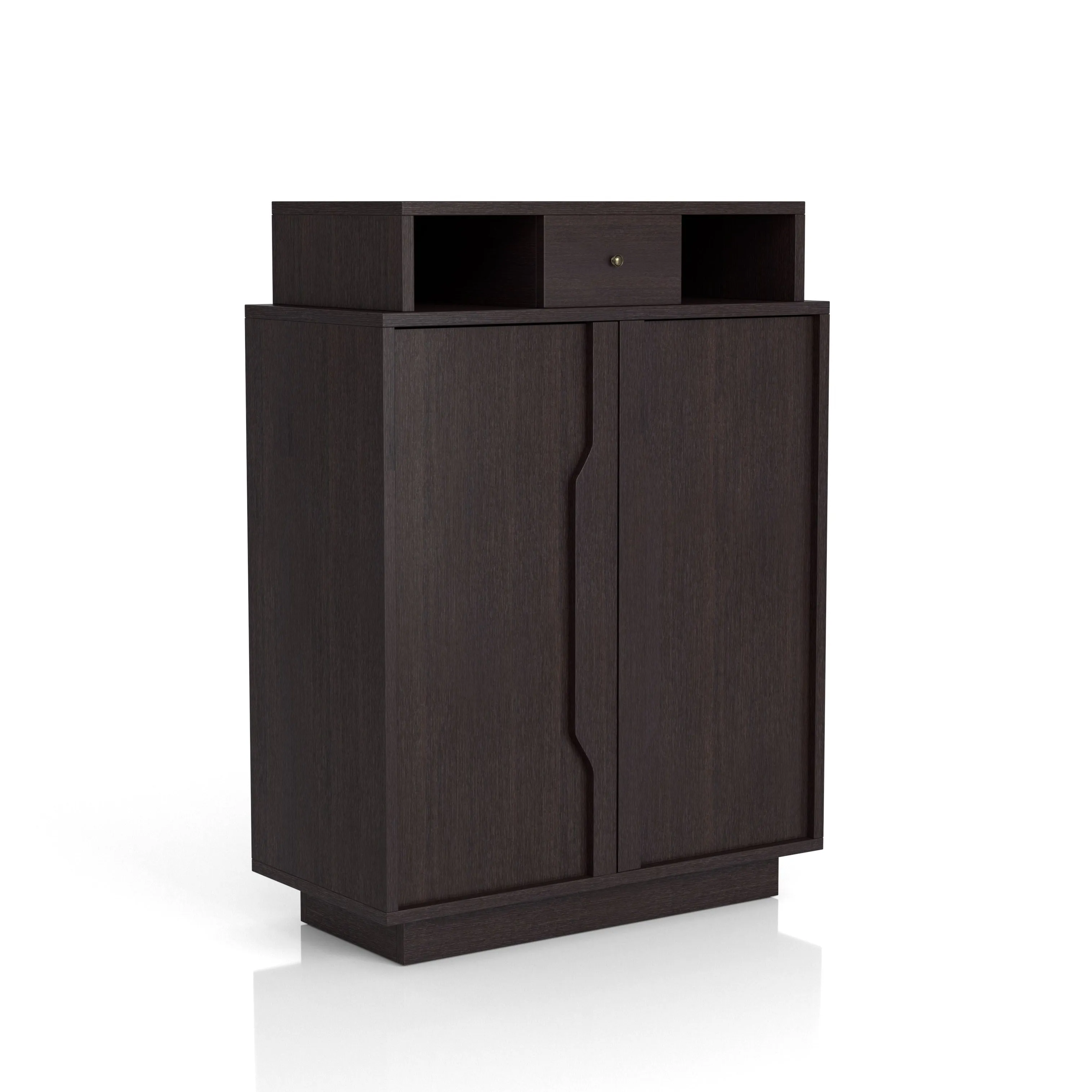 Saxson Espresso Multi-Storage Shoe Cabinet