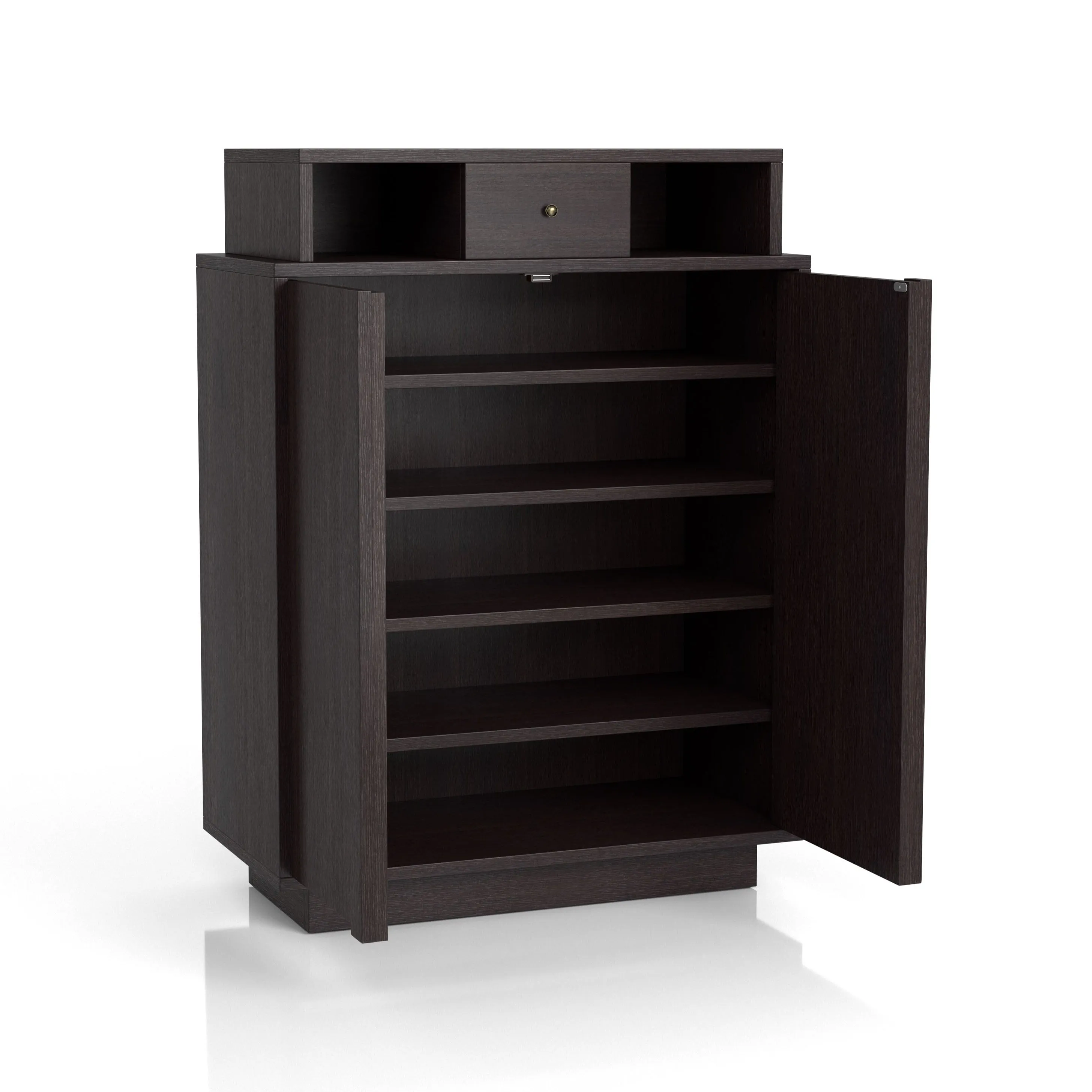 Saxson Espresso Multi-Storage Shoe Cabinet