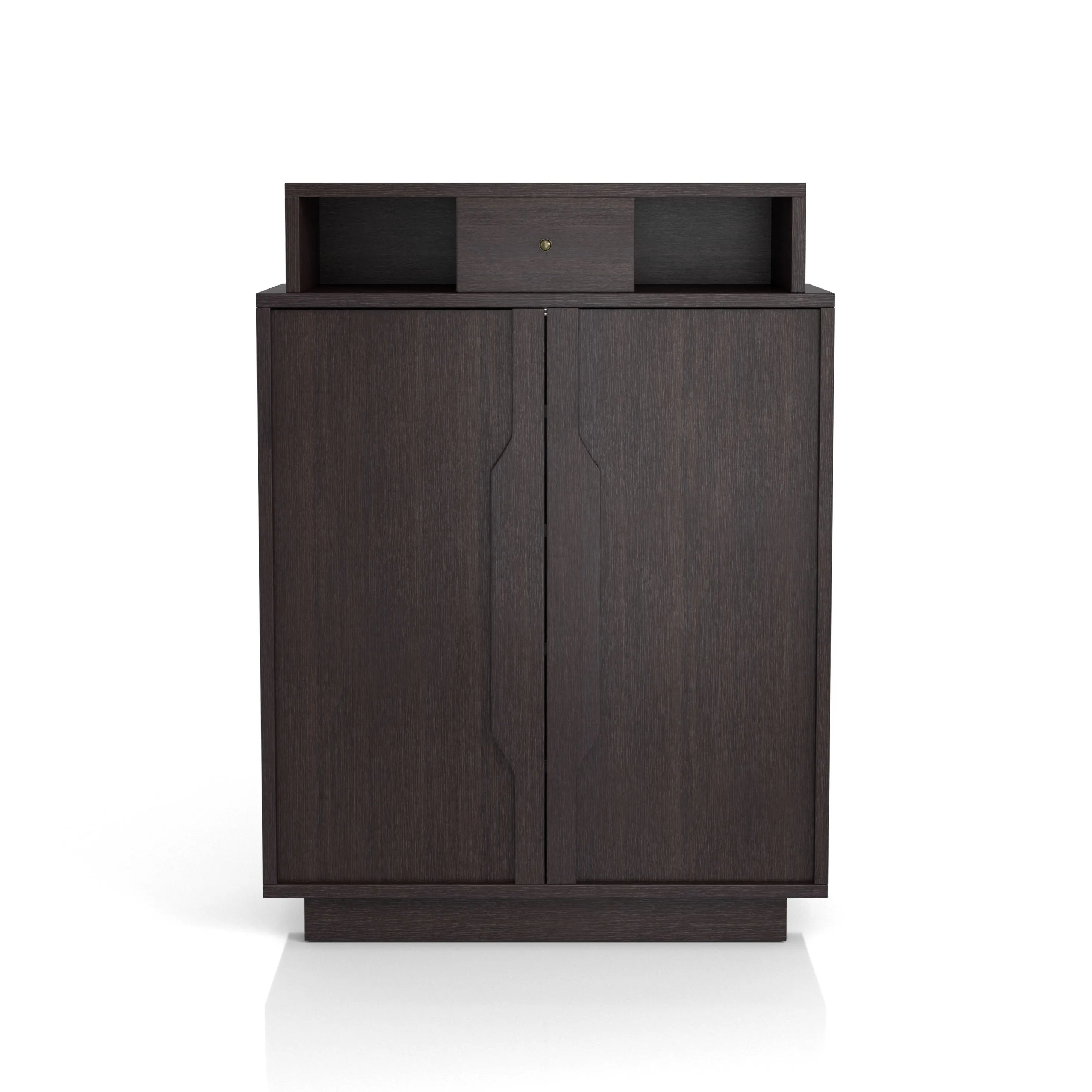 Saxson Espresso Multi-Storage Shoe Cabinet