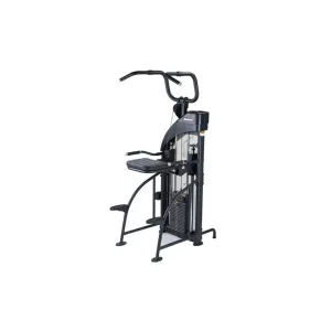 SportsArt DF-307/P711 Performance Dual Function Chin-Up/Tricep Dip