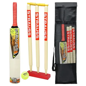 Strauss Cricket Kit, Size- 2 (Popular Willow bat 3 Stumps Holder 1 Ball Carry Bag)